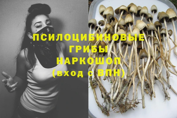 первитин Алексеевка