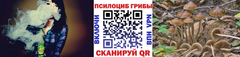купить наркоту  Аксай  Псилоцибиновые грибы Cubensis 